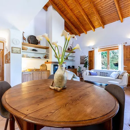 Quintinha Mojud Ferienhaus